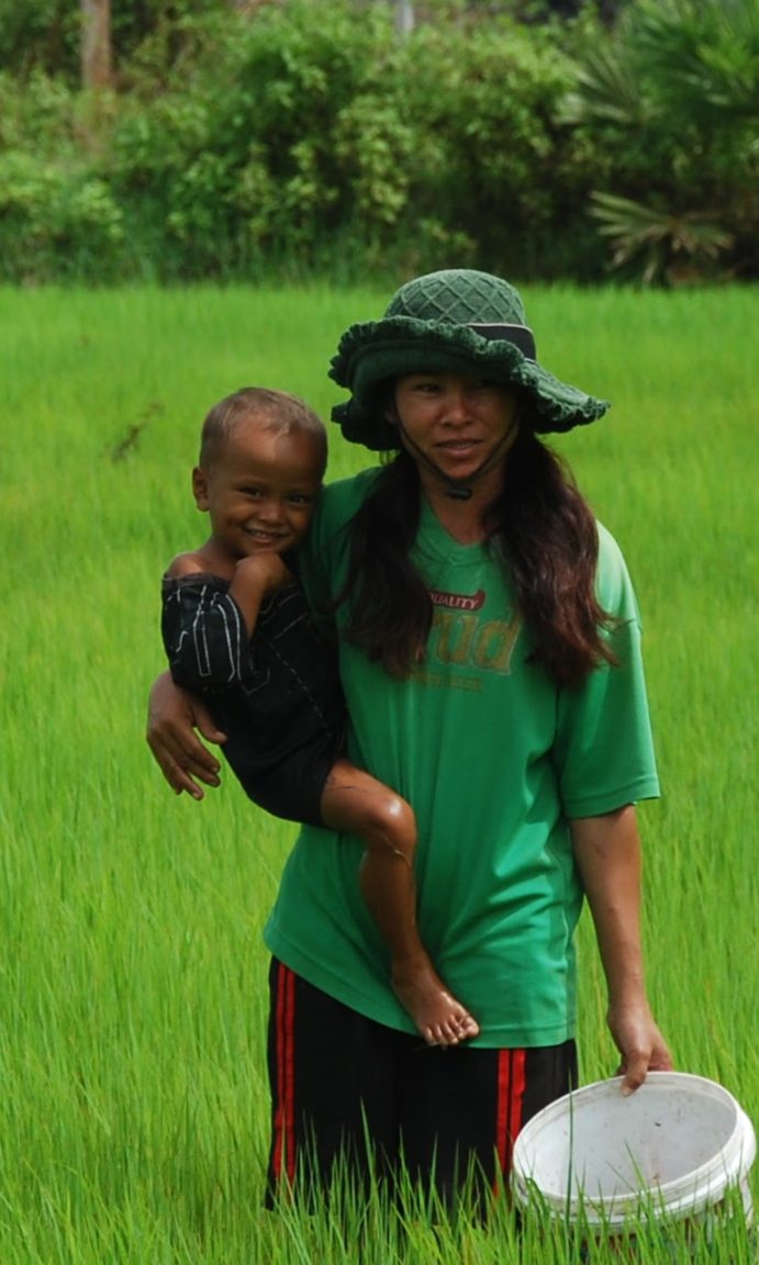 Kampot Rice Fields